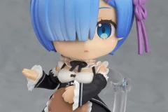 Rem 663