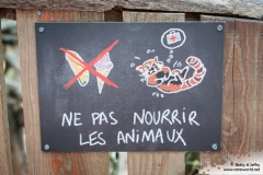 Â© Parc Animalier de Sainte-Croix