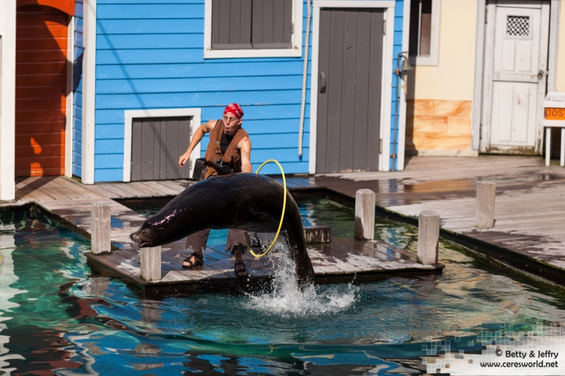 mg_2432-web mg_2432-web